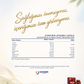 Storm Vitals Iron Balance (Kapsül)